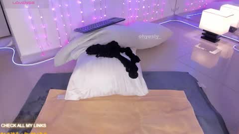 Snapshot of ohyesly_ chatting on November 2025 09:53:02 AM ohyesly_ online show from November 2025 09:53:02 AM