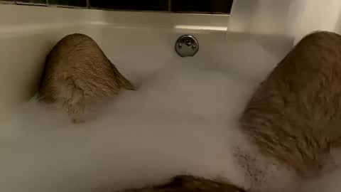 Snapshot of oldbones2 chatting on December 2024 02:07:02 AM oldbones2 online show from December 2024 02:07:02 AM