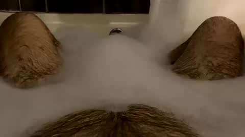 Snapshot of oldbones2 chatting on February 2025 02:20:02 AM oldbones2 online show from February 2025 02:20:02 AM