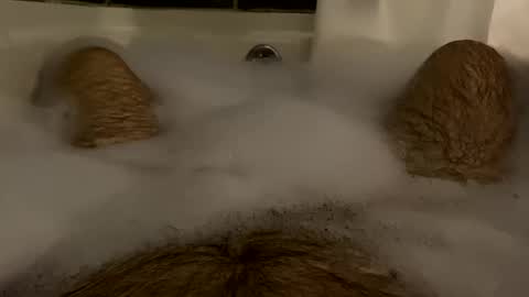 Snapshot of oldbones2 chatting on February 2025 01:36:01 AM oldbones2 online show from February 2025 01:36:01 AM