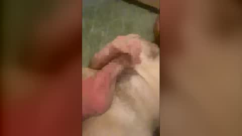 Snapshot of olijames6891 chatting on December 2025 07:48:02 AM olijames6891 online show from December 2025 07:48:02 AM