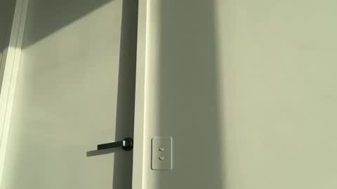 Olivia Brookes online show from November 2025 07:52:02 PM