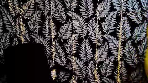 Kelly online show from November 2025 03:59:01 PM