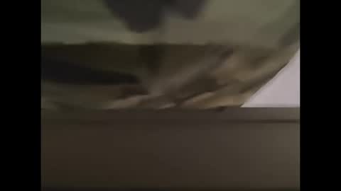 Snapshot of oneeyesnake1843142 chatting on October 2025 01:21:01 PM oneeyesnake1843142 online show from October 2025 01:21:01 PM