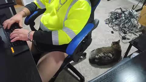 Unpredictable online show from September 2025 12:18:01 PM