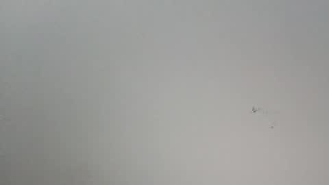 oooxxxrrr online show from January 2026 11:10:01 PM