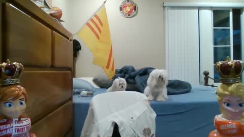 oorah1775 online show from March 2025 02:10:02 PM