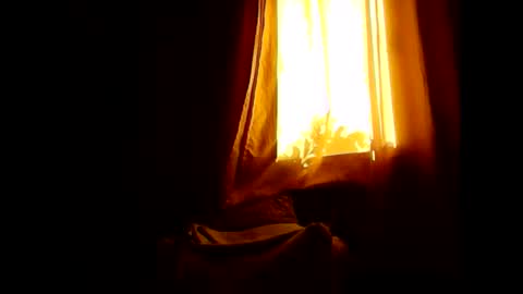 Snapshot of opree_pirocudo chatting on January 2026 07:11:01 PM Opree online show from January 2026 07:11:01 PM