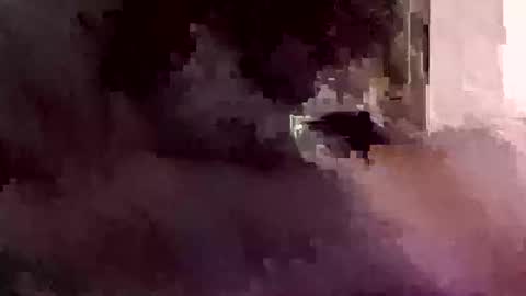 Foryourdick online show from January 2026 07:46:02 AM