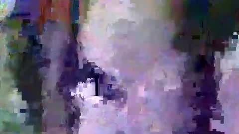 oretrail online show from February 2025 05:37:01 AM