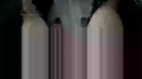 ORGYBARGY69 online show from November 2025 07:03:03 PM