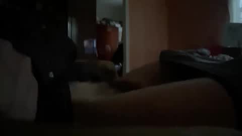 originreal online show from December 2025 09:58:02 AM