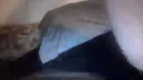 Snapshot of orvillewhitencocker chatting on July 2026 04:31:01 AM orvillewhitencocker online show from July 2026 04:31:01 AM
