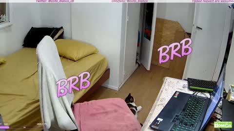 Snapshot of osito_blanco chatting on January 2025 05:19:02 AM Osito Blanco online show from January 2025 05:19:02 AM