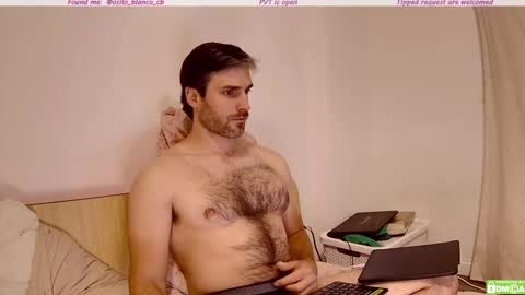 Snapshot of osito_blanco chatting on November 2025 12:55:01 AM Osito Blanco online show from November 2025 12:55:01 AM