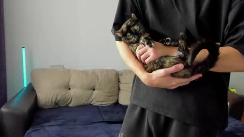 Ostin online show from March 2026 08:44:02 AM