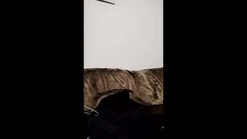 Owen kayz online show from April 2026 09:21:02 PM