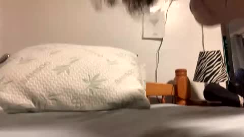 Snapshot of ozzy727 chatting on February 2026 02:53:02 AM ozzy727 online show from February 2026 02:53:02 AM