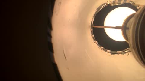 Snapshot of ozzy727 chatting on April 2026 04:24:01 AM ozzy727 online show from April 2026 04:24:01 AM