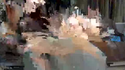 Paolo 187 84 online show from May 2026 03:44:02 AM