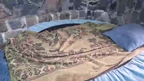 pablouyu online show from January 2026 03:05:01 PM