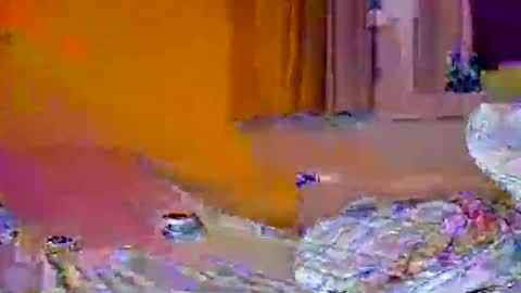 Snapshot of pachoxx9 chatting on February 2025 10:44:02 PM Pachoxx9 online show from February 2025 10:44:02 PM