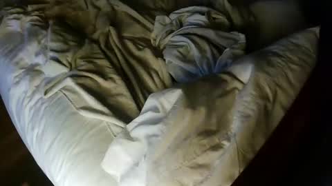 pale001zan online show from September 2025 08:08:01 AM