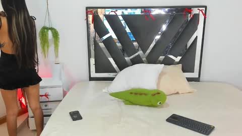 palechor online show from February 2026 04:03:02 PM