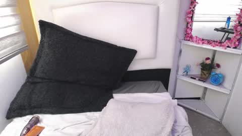 Palmer online show from January 2025 06:20:01 PM