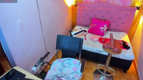 PALOMA 3 online show from April 2026 11:33:01 AM