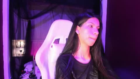  P A M  online show from November 2025 11:21:02 AM