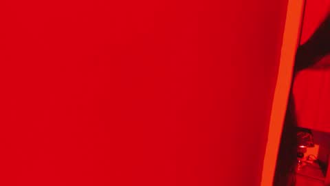  P A M  online show from November 2025 04:07:02 AM