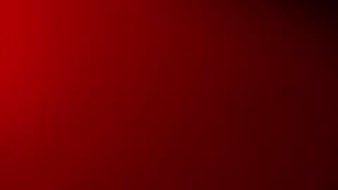  P A M  online show from November 2025 04:06:02 AM