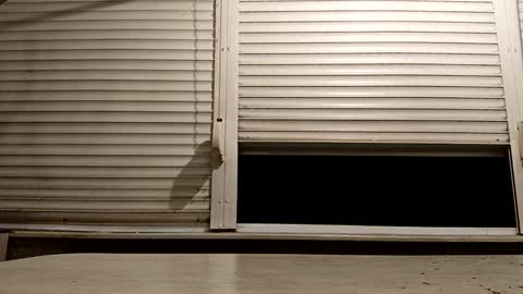 angel hris online show from November 2025 06:18:01 PM