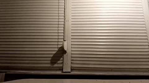 angel hris online show from January 2026 06:46:02 PM