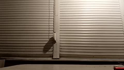 angel hris online show from January 2026 04:45:02 PM