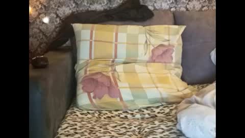 Pancamo online show from January 2025 08:37:01 PM