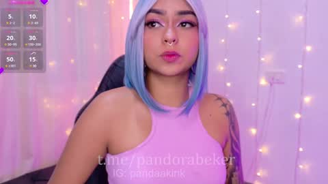 Snapshot of pandorabeker chatting on January 2025 10:52:01 PM    online show from January 2025 10:52:01 PM