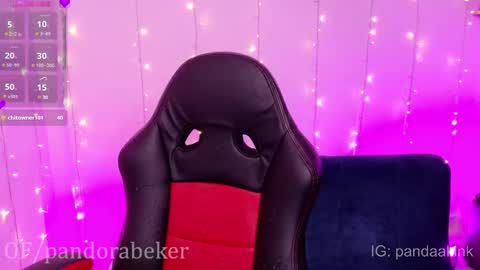 Snapshot of pandorabeker chatting on February 2025 04:40:01 PM    online show from February 2025 04:40:01 PM