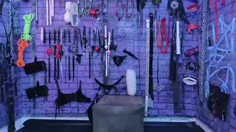 PandoraNez online show from February 2026 02:26:01 AM