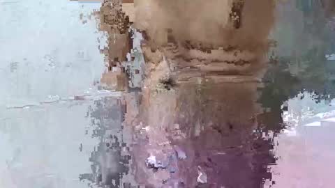 pankubig online show from September 2025 09:25:02 AM