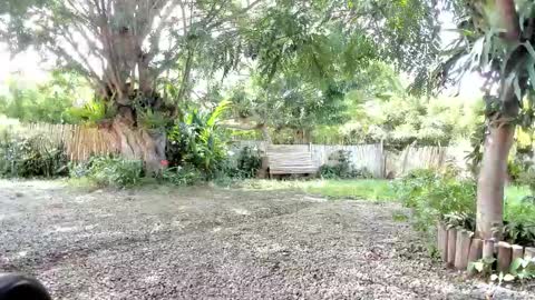 paoguerrax354 online show from October 2025 06:41:02 PM