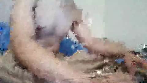 Snapshot of parejitafiel2309 chatting on November 2025 08:18:01 PM parejitafiel2309 online show from November 2025 08:18:01 PM