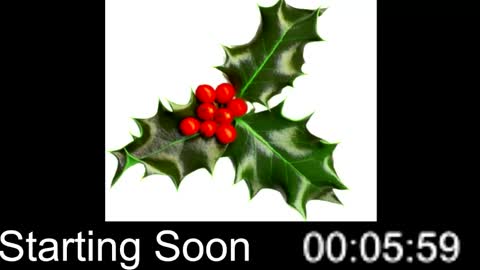 Snapshot of passion4fashion chatting on December 2024 09:00:02 PM Passion4Fashion online show from December 2024 09:00:02 PM