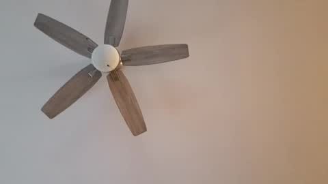 Snapshot of patrick247288 chatting on January 2025 09:40:01 PM patrick247288 online show from January 2025 09:40:01 PM