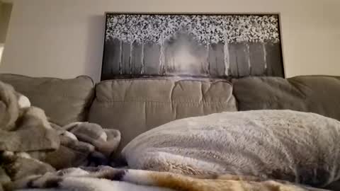 Snapshot of patrick247288 chatting on February 2025 12:22:02 PM patrick247288 online show from February 2025 12:22:02 PM