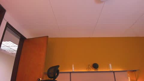 Snapshot of paul_evanss chatting on December 2024 02:44:01 PM Paul online show from December 2024 02:44:01 PM