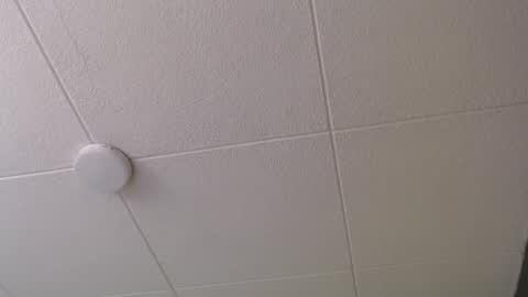 Snapshot of paul_evanss chatting on October 2025 01:00:02 PM Paul online show from October 2025 01:00:02 PM