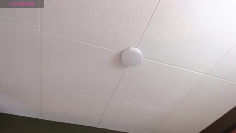 Snapshot of paul_evanss chatting on November 2025 01:10:02 PM Paul online show from November 2025 01:10:02 PM