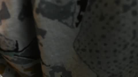 Paul Rivera online show from December 2024 11:42:01 PM